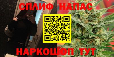 амф Новозыбков