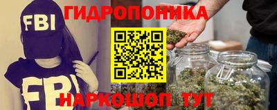 ешки Новокубанск