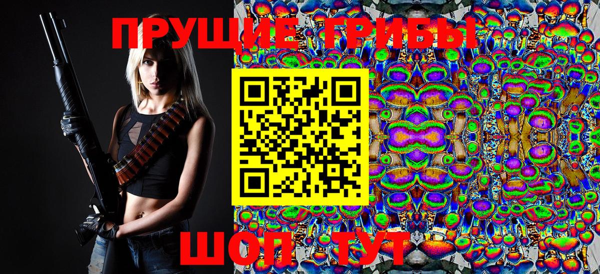 Псилоцибиновые грибы Psilocybe  Вход с VPN  Петропавловск-Камчатский 